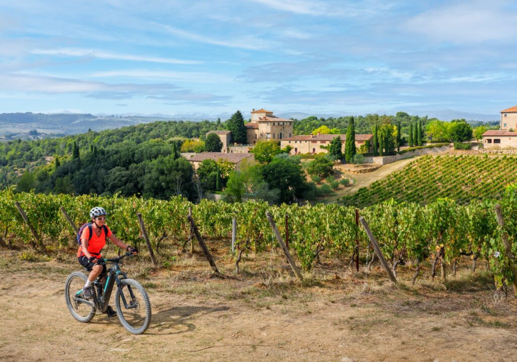 ebike tour tuscany vineyards siena
