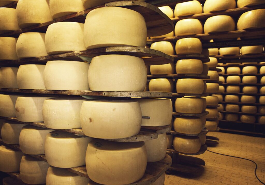 parmesan cheese aging shelves.jpg 2