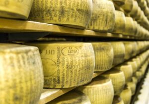 parmesan cheese aging shelves.jpg