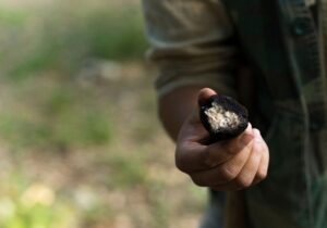 truffle hunting experience fresh truffles