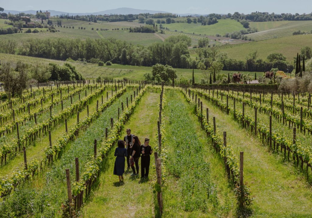 wine tour a group of turist in the vineyards
