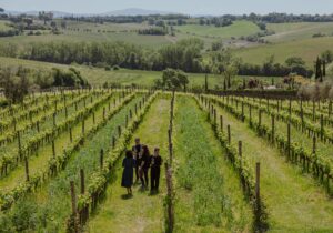 wine tour a group of turist in the vineyards