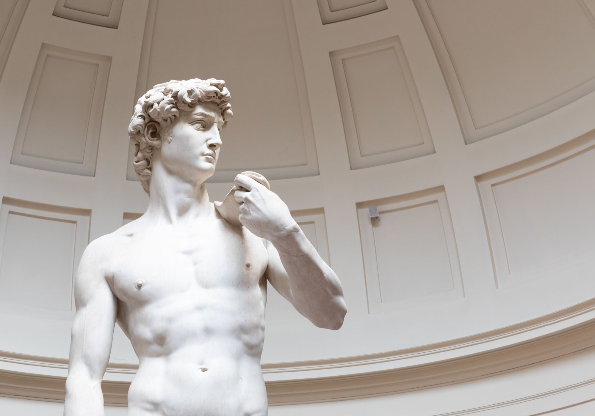 David michelangelo Accademia