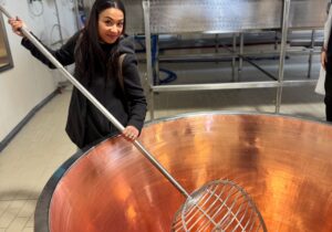 food valley tour parmigiano reggiano curd stirring