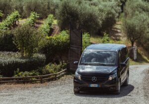 mercedes van private tour olive grove