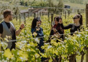 wine tour tuscany toasting