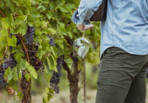 wine tours tuscany glass upside down