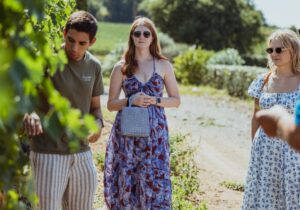 wine tours tuscany grape leaves