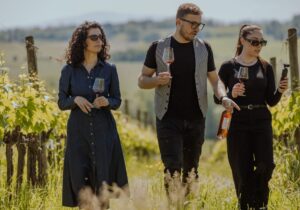 wine tours tuscany vineyard tasting