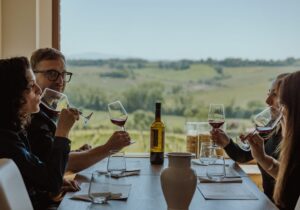 wine tours tuscany vineyard view