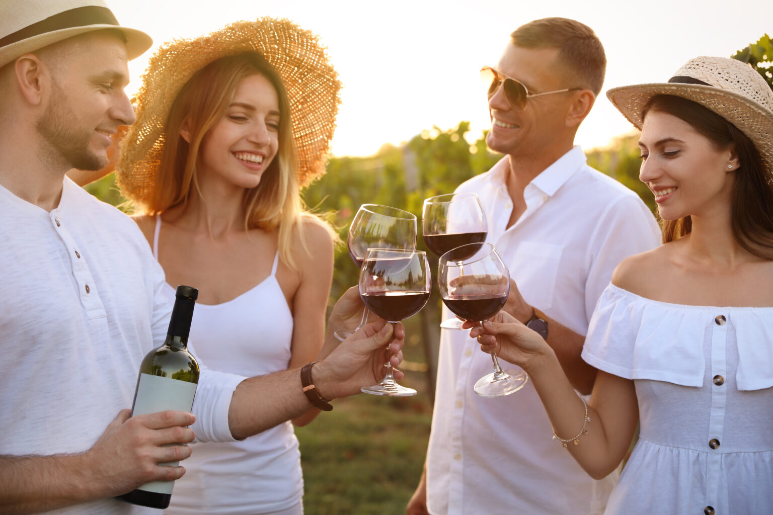 Friends,Clinking,Glasses,Of,Red,Wine,In,Vineyard,On,Sunny